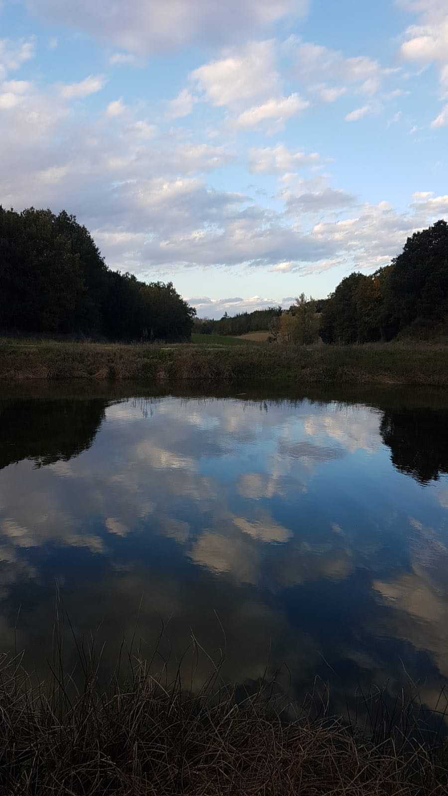 Photo10