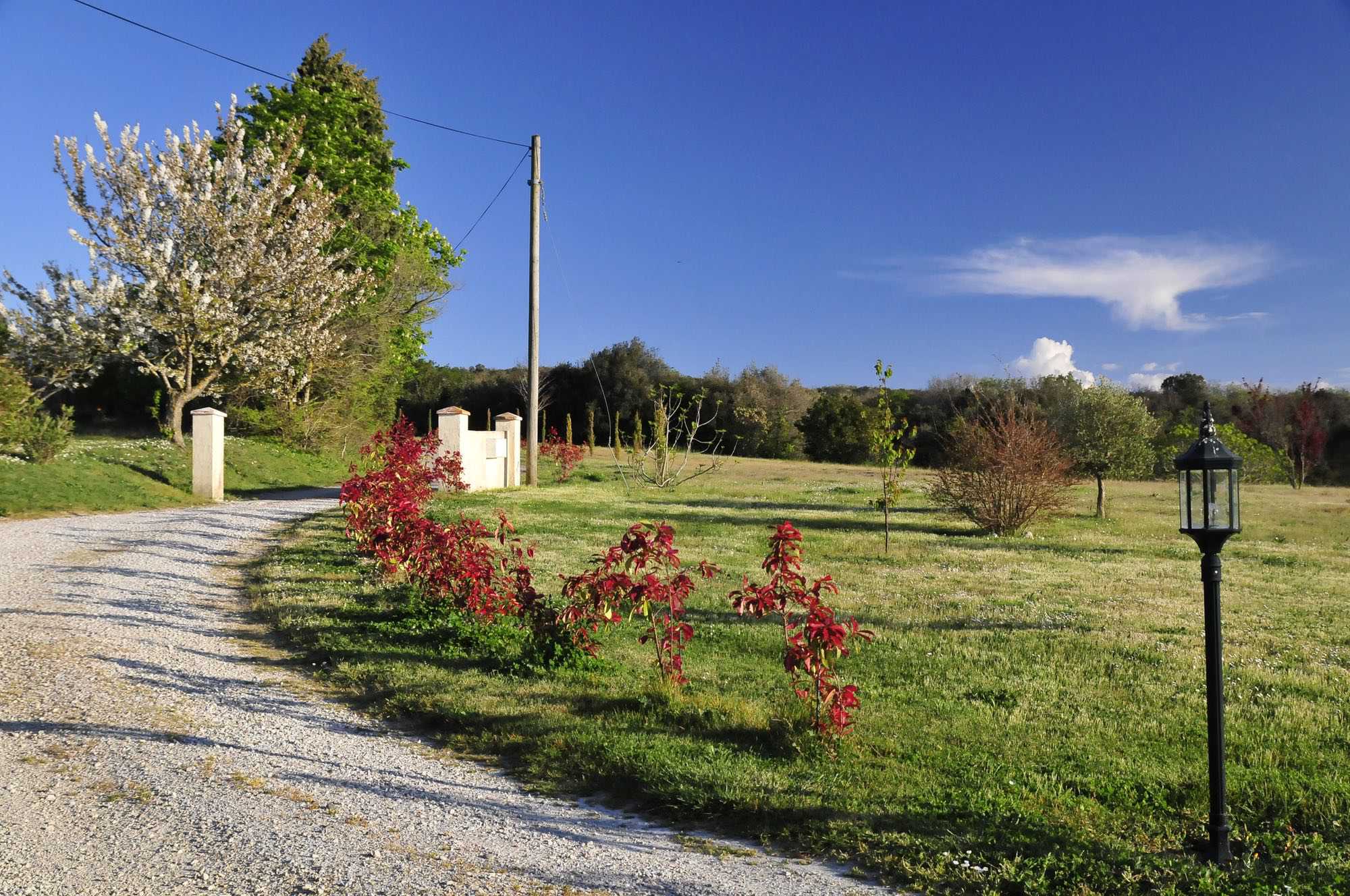 Garden and surroundings