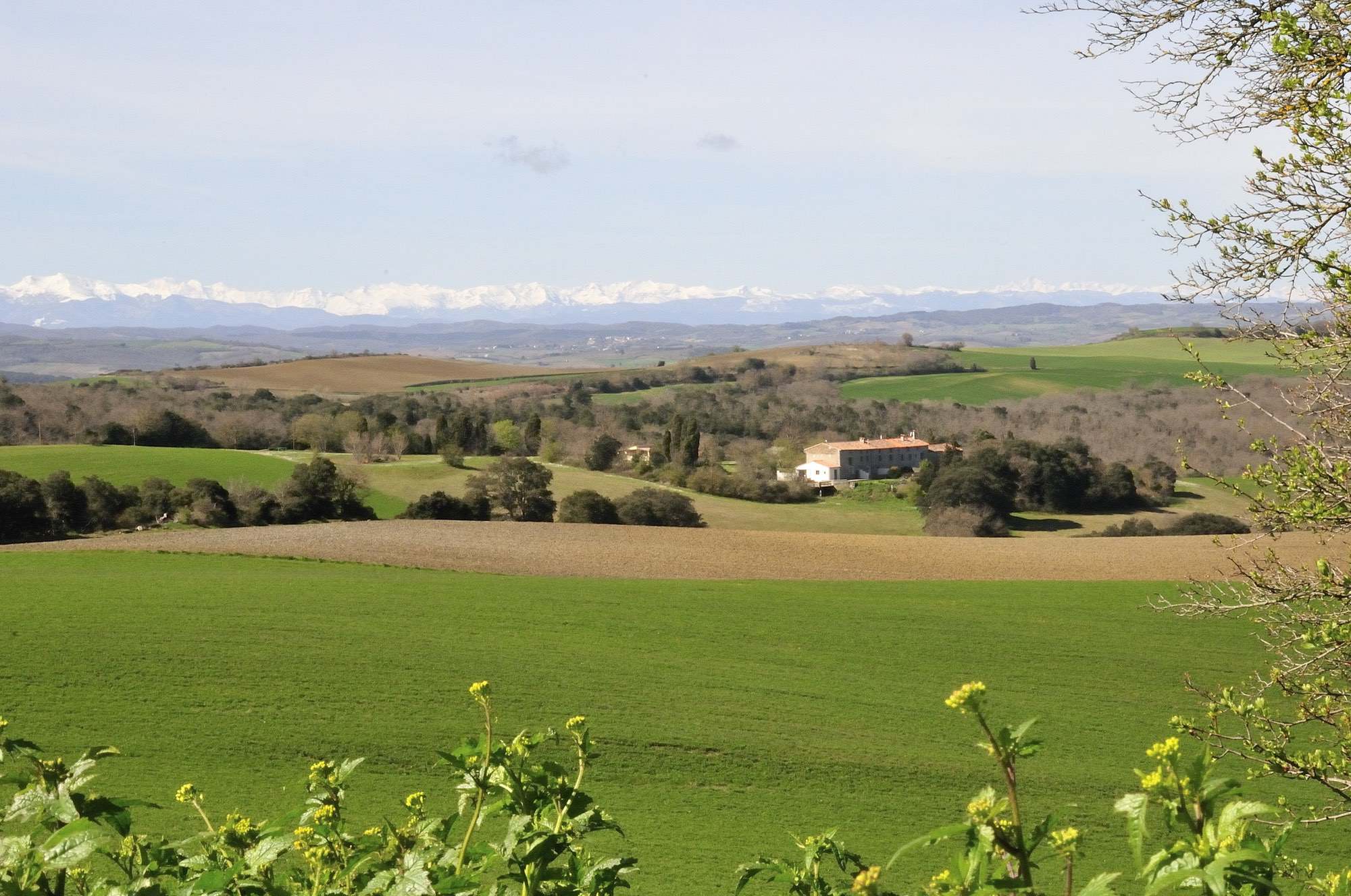 Domaine de mestrugue